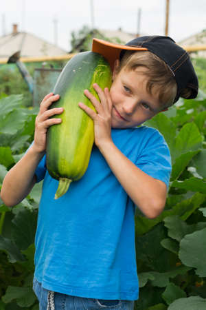 Boy pumpkin in the hands of the great outdoorsの写真素材