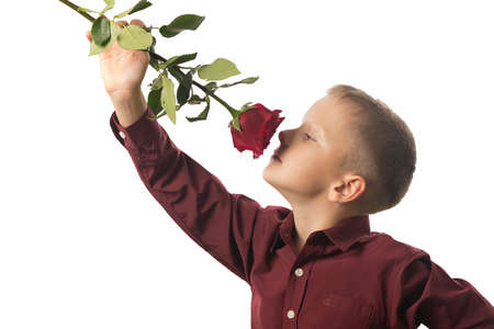 Portrait of a man with a red rose in his hand.の写真素材