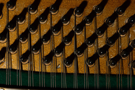Piano strings sound tuning music. The tuner of a musical instrument.の写真素材