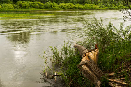 Water barrier, reservoir, river. The place for a travel. Sunny day with clouds in the sky. Green grass and trees.の写真素材