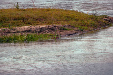 Country trip. Summer landscape. Fast river. Islets of land and seaweed. Great picnic spot. A deserted place and a virgin forest.の写真素材