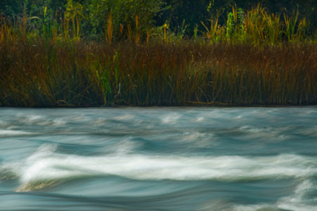 Country trip. Summer landscape. Fast river. Islets of land and seaweed. Great picnic spot. A...