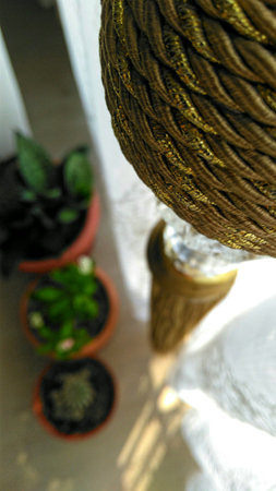 Curtain Trim