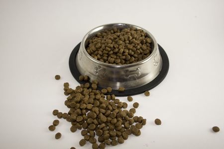 Dog Foodの写真素材