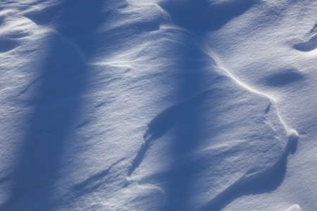 The texture of the snow is blue. Evening brilliant snow crustの写真素材