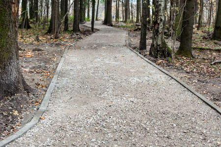 Park track repair. Paving the road in the forest.の写真素材