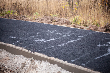 Park track repair. Paving the road in the forest.