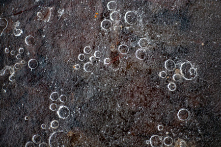Bubbles of air in frozen water. The texture of the ice in nature. Beautiful natural background of...