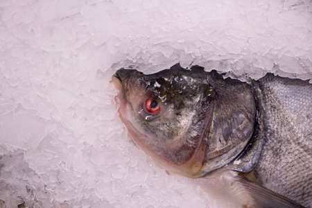 Frozen fish in ice is sold in the market. Natural seafood background. Close-up fish on the counter. Preservation of freshness of the product in ice at low temperature.の写真素材