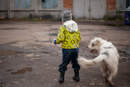 A child runs down the street from a dog. A boy plays with a white dog and jumps through the puddles....
