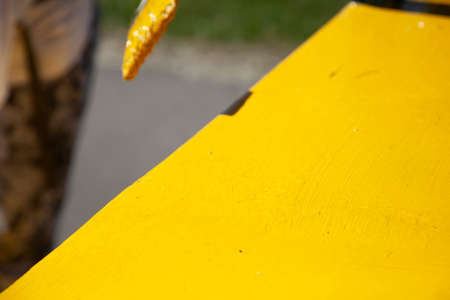 Yellow paint is applied to the surface. The painter does the work. Application of a coat of paint. Sunny day. Bright yellow color.の写真素材