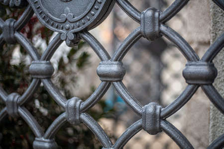 The fence in the park. Cast iron handrail. Skillfully made fence. A metal item.の写真素材