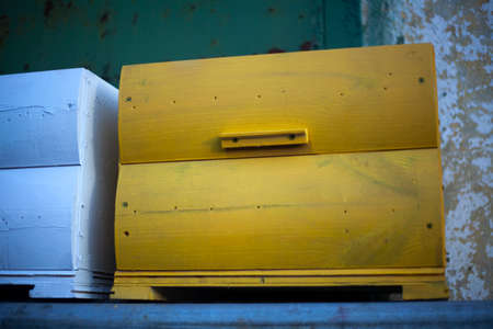 Painted hives are dried in the street. Painted wooden boxes in the workshop. Preparation of houses for bees on pasik. Drawing paint on a wooden product.の写真素材