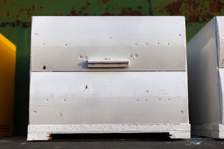 Painted hives are dried in the street. Painted wooden boxes in the workshop. Preparation of houses for bees on pasik. Drawing paint on a wooden product.の写真素材