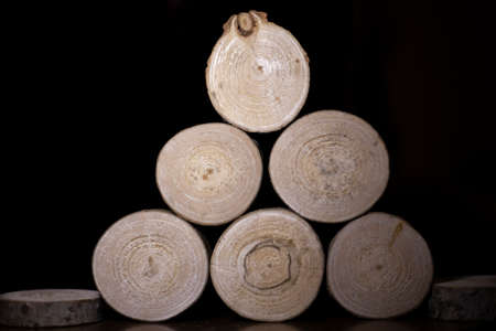 A log chopped into circles. Wood blanks. Texture of a young plant cut into segments. Background of wood.の写真素材