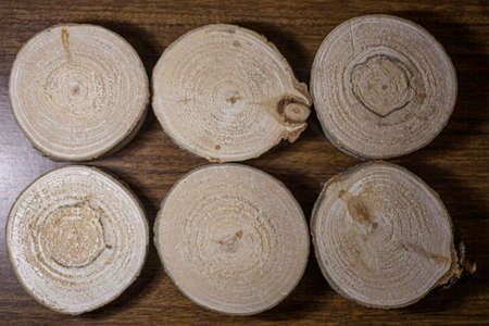 A log chopped into circles. Wood blanks. Texture of a young plant cut into segments. Background of wood.の写真素材
