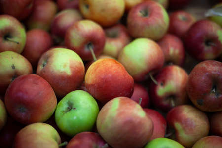Texture with apples. Ripe fruits are sold in the market. A lot of apples lie together. Healthy food background. Food available to everyone.の写真素材