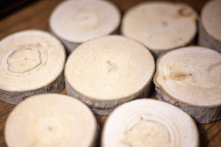A log chopped into circles. Wood blanks. Texture of a young plant cut into segments. Background of wood.の写真素材