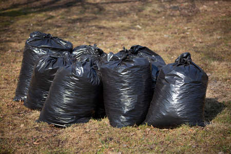 Garbage bags stand on the grass. The black plastic bags are full. Harvesting leaves in the fall. Utilities cleaned on the street.の写真素材