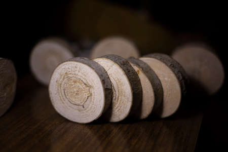 A log chopped into circles. Wood blanks. Texture of a young plant cut into segments. Background of wood.の写真素材