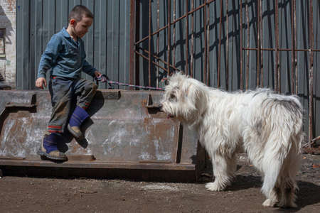 A child plays with a dog at dad in the garage. Children's activity on the street. A boy with his friend. A shaggy white dog guards a child. Active and naughty five year old baby. Children's life.の写真素材