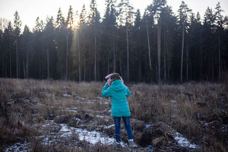 A child walks through the woods. A girl looks at a logged forest. A tree planting site. A girl stands in the rays of light. The child is lost in the forest and looks at the sun.の写真素材