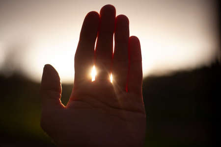 The sun through the palm of your hand. The rays of light at sunset penetrate through your fingers. Simple picture with a hand. Calm background. Beauty is here and now. Male hand.の写真素材