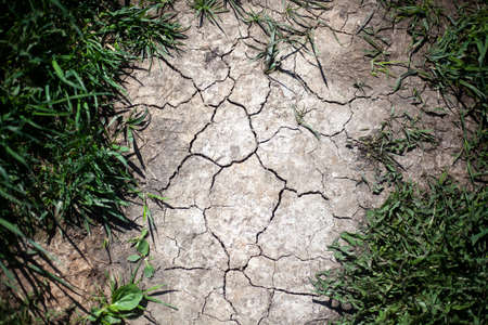 Dry land. Cracks in the soil. The surface of the trail. Natural background.の写真素材
