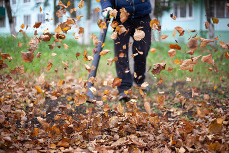 Cleaning leaves in the garden. The gardener is fanning the foliage. A man with a wind generator sweeps dry leaves in the street. Late autumn is the time for gardening and putting things in order.の写真素材