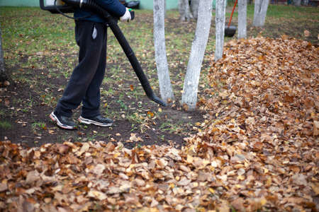 Cleaning leaves in the garden. The gardener is fanning the foliage. A man with a wind generator sweeps dry leaves in the street. Late autumn is the time for gardening and putting things in order.の写真素材