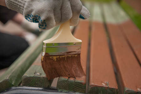 Brush with brown paint. Painting shops in a city park. Work on the improvement of urban facilities. Molar work. Brush close-up. The artist paints a tree. Oil paint in business.の写真素材