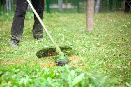 Trimming the lawn. Gardener's work on the lawn. Cutting grass outdoors. Tidying up the garden.