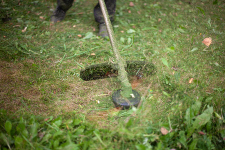 Trimming the lawn. Gardener's work on the lawn. Cutting grass outdoors. Tidying up the garden.