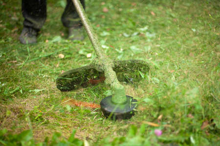 Trimming the lawn. Gardener's work on the lawn. Cutting grass outdoors. Tidying up the garden.の写真素材