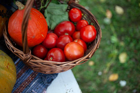 Harvest from the garden. Do-it-yourself vegetables. Autumn still life of useful fruits.の写真素材