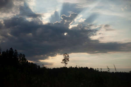 Landscape with clouds. Cloudy weather. The beauty of airspace.の写真素材