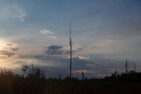 Heavenly landscape. Evening clouds. Beauty of nature. Gloomy sky background. Tragic notes in nature. It gets dark outside.の写真素材