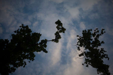Heavenly landscape. Evening clouds. Beauty of nature. Gloomy sky background. Tragic notes in nature. It gets dark outside.の写真素材