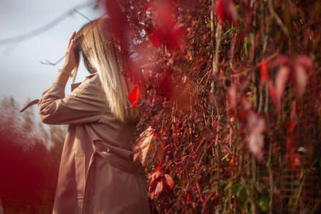 Girl in the fall. The girl at the hedge overgrown with plants. Autumn mood. Photo walk to nature.の写真素材