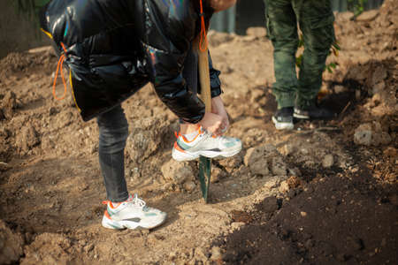 Burying the seedling into the ground. Planting plants in the park. Garden soil is filled with a shovel. Volunteers are looking at the forest.の写真素材