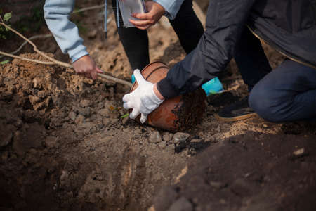Removing a seedling from a pot. Planting a tree in the ground. A man prepares a plant for planting in the ground. Planting new trees in the park.の写真素材