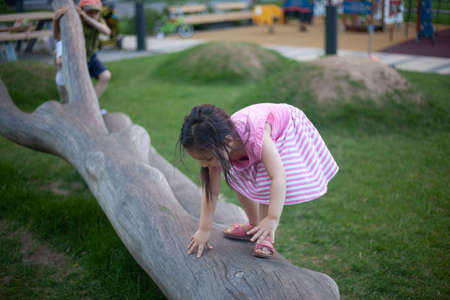 A child climbs a dry tree. The girl plays on the modern playground. Asian child on the street. Girl in a pink dress.の写真素材