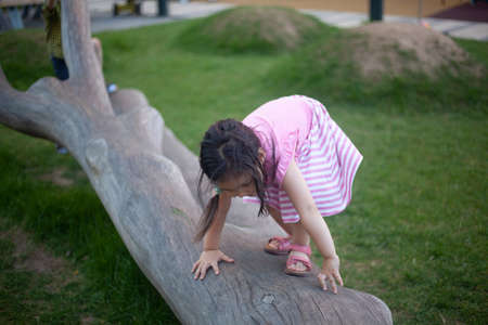 A child climbs a dry tree. The girl plays on the modern playground. Asian child on the street. Girl in a pink dress.の写真素材