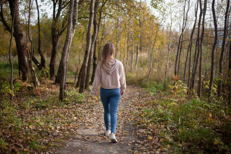 The girl walks in the autumn through the forest. A girl in blue jeans and a pink sweater walks on a warm autumn day. Beautiful park path. Lonely girl in natural light.の写真素材