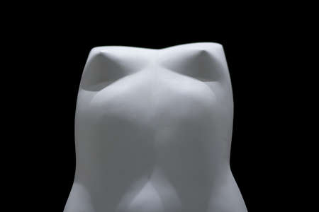 White mannequin on a black background. Nude sculpture. Manikin's chest. Artificial lighting. A plastic body without arms and legs.の写真素材