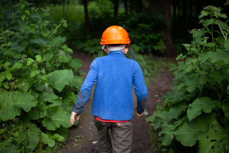 Child in the forest in an orange construction helmet. The boy's walk in an unknown place. Lost child in the mountains. The tourists forgot the boy.の写真素材