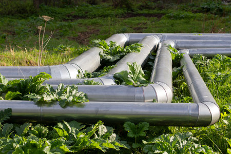 Pollen in a puddle. Beautiful stains in the water. Brownian motion of particles in a liquid. Spring pollen is yellow.の写真素材