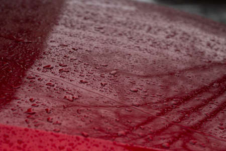 The surface of the car in raindrops. The red car is covered with water from precipitation.の写真素材