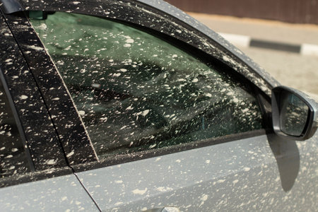 The car is splashed with mud. Ipachkana car after the trip. The surface of the vehicle is splashed with cement.の写真素材