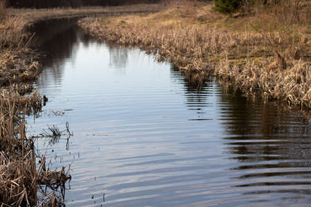 Calm river. Small river in a small valley. A river in which it is easy to swim.の写真素材